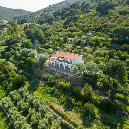 La Palazzina Nel - Goelba 3* Casa Alzi