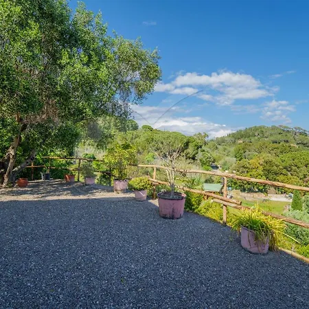 La Palazzina Nel - Goelba Maison d'hôtes 3*