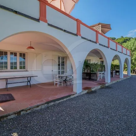 Pensjonat La Palazzina Nel - Goelba